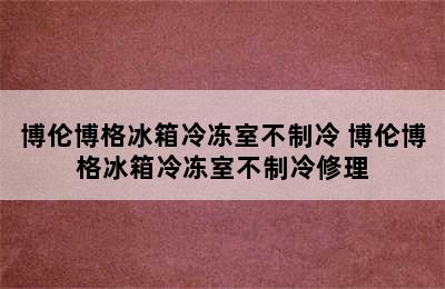 博伦博格冰箱冷冻室不制冷 博伦博格冰箱冷冻室不制冷修理